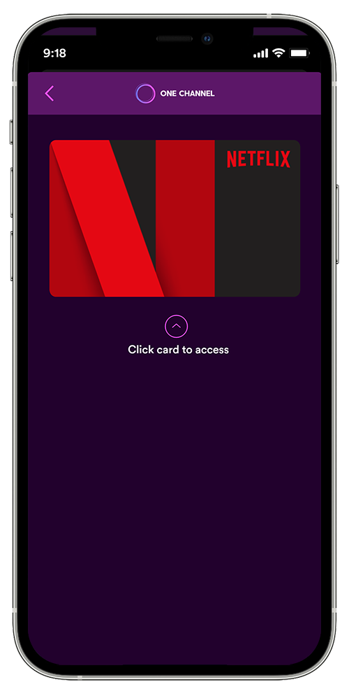 Netflix-8