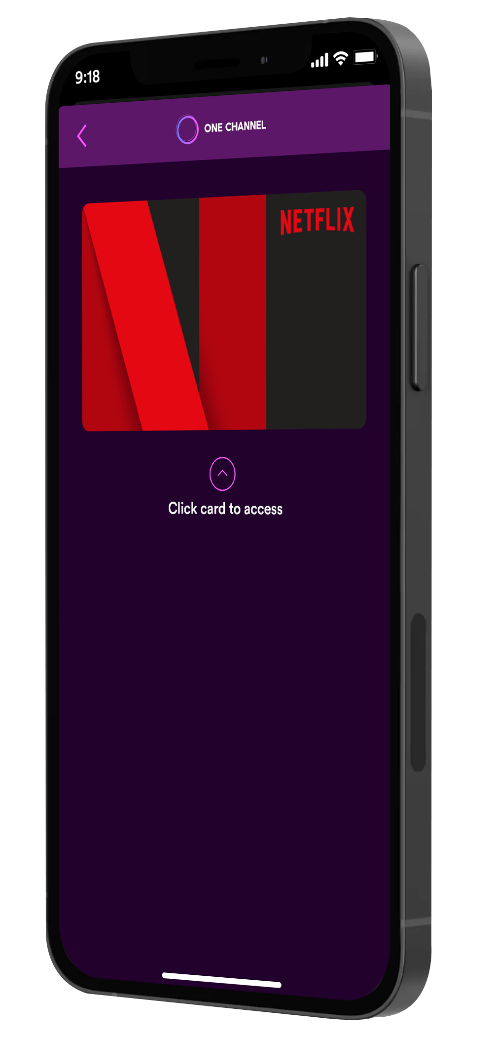 Share Netflix Account-2